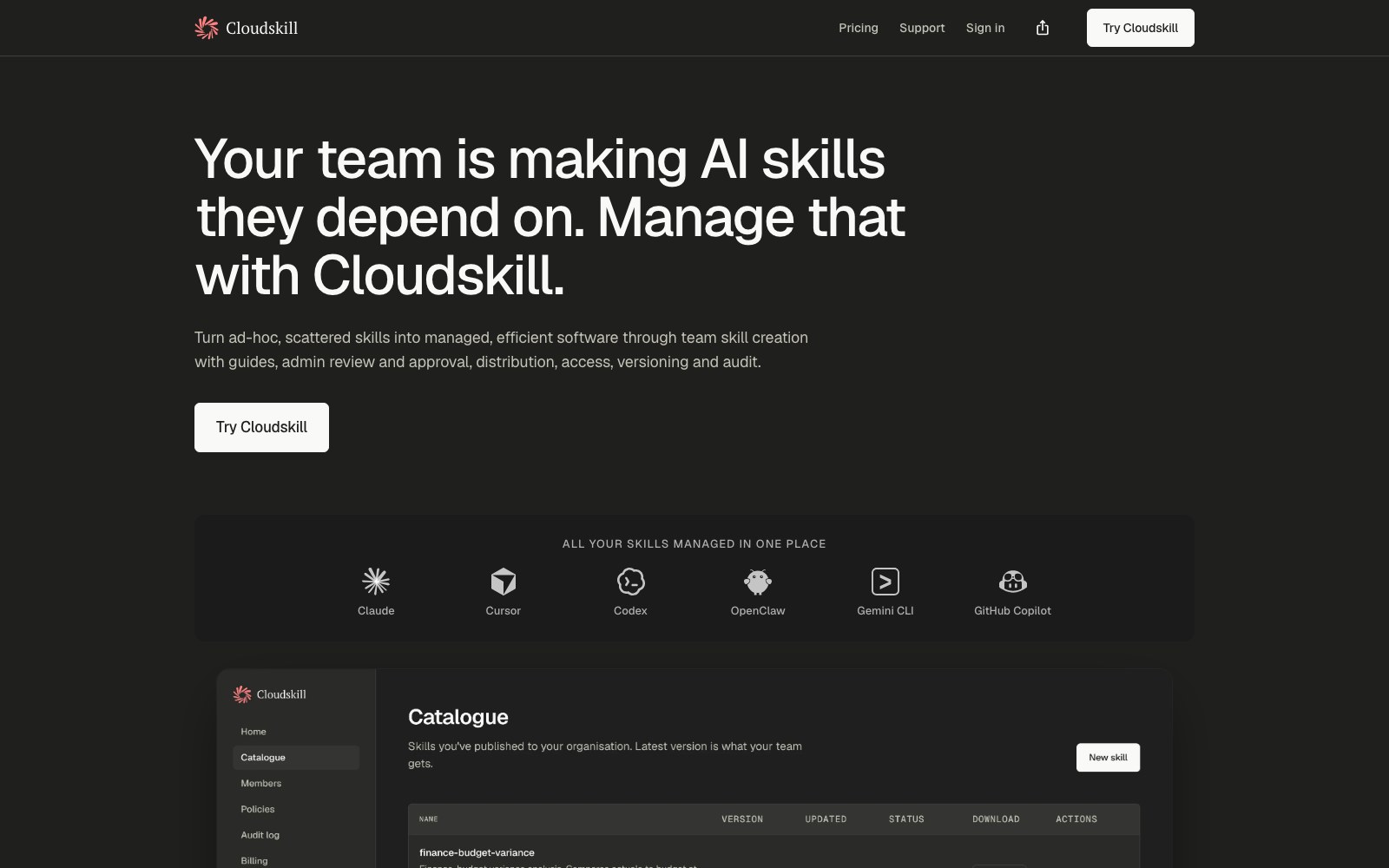 Cloudskill 홈페이지 스크린샷