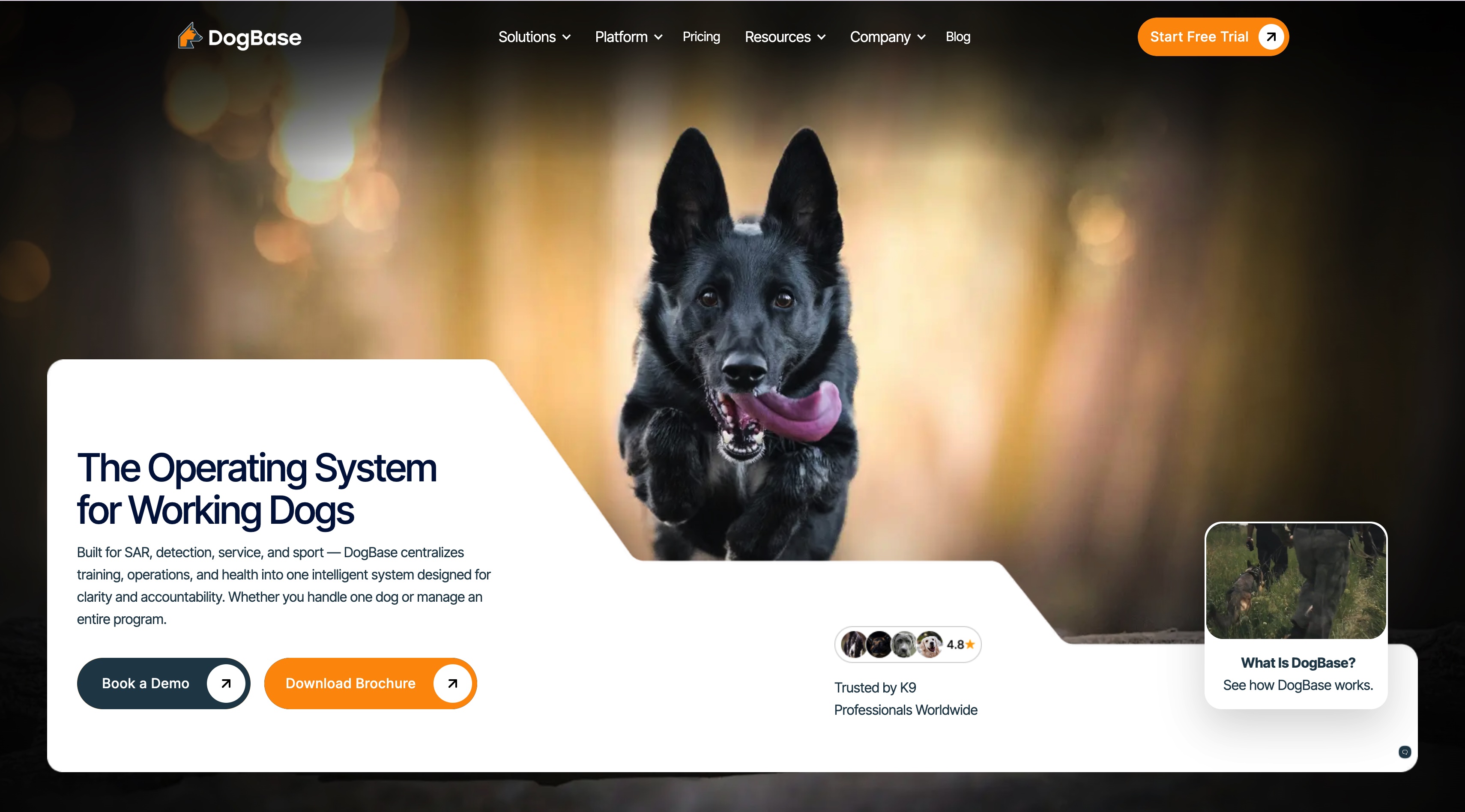 DogBase 홈페이지 스크린샷