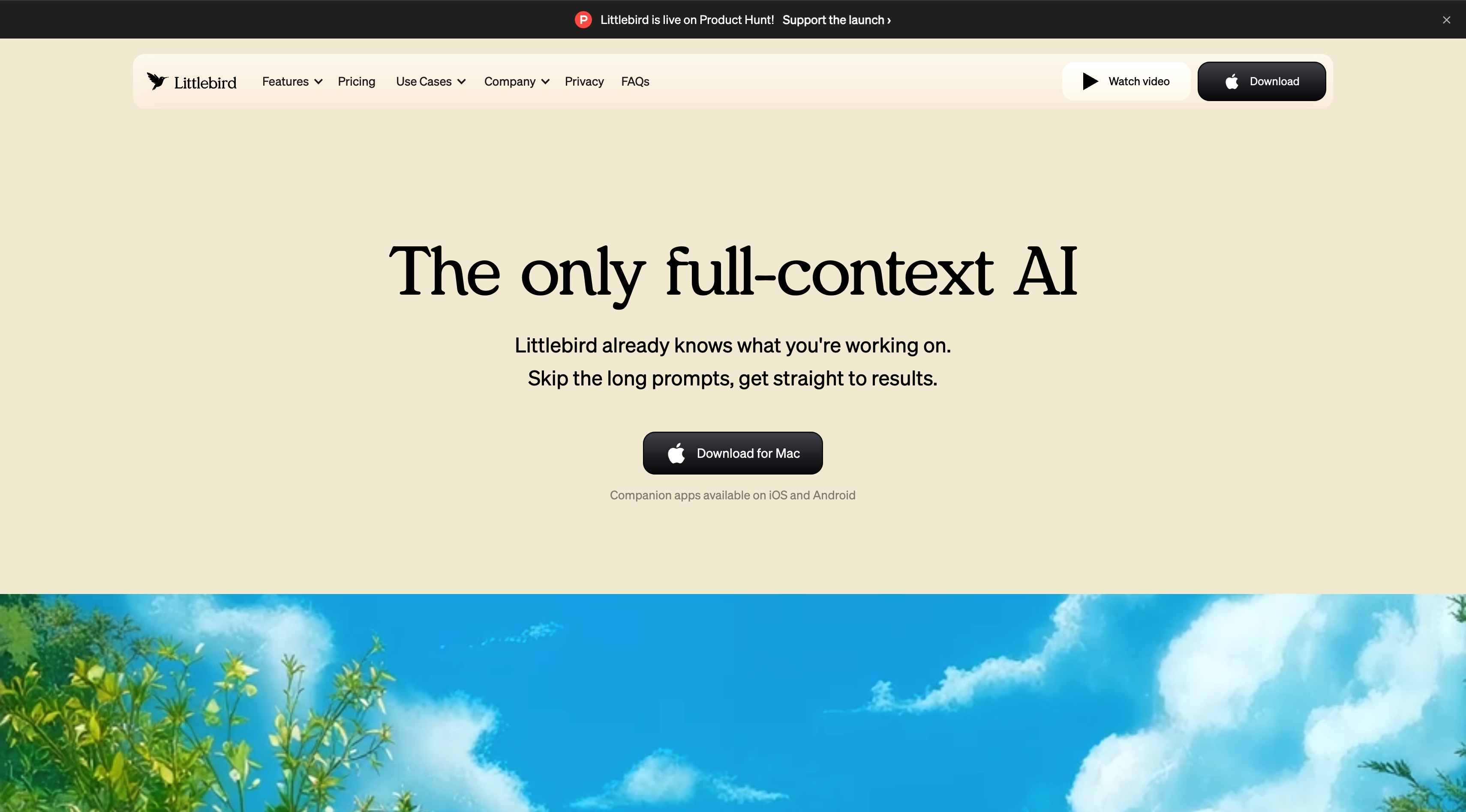 Littlebird 官网首屏截图