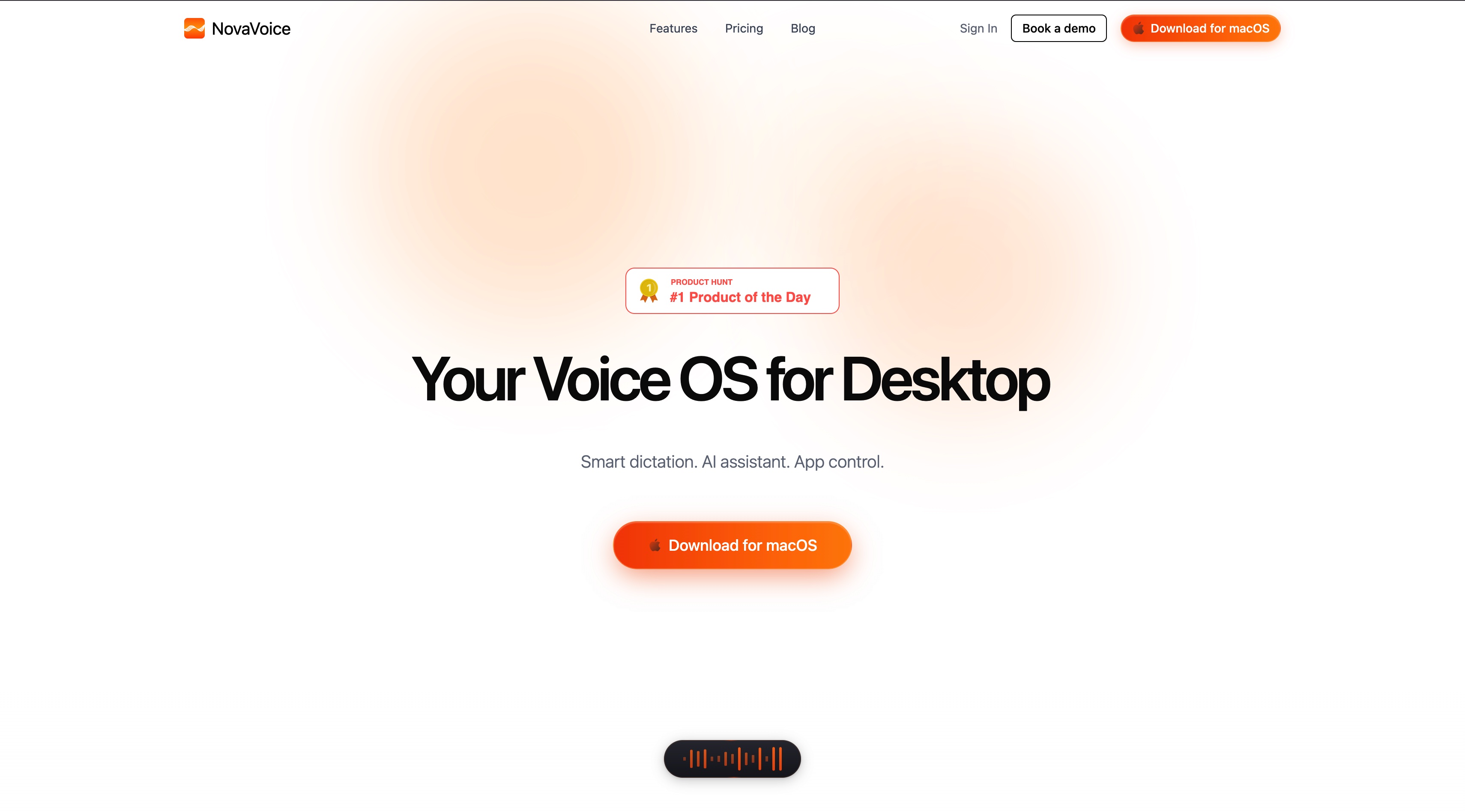 NovaVoice 官网首屏截图