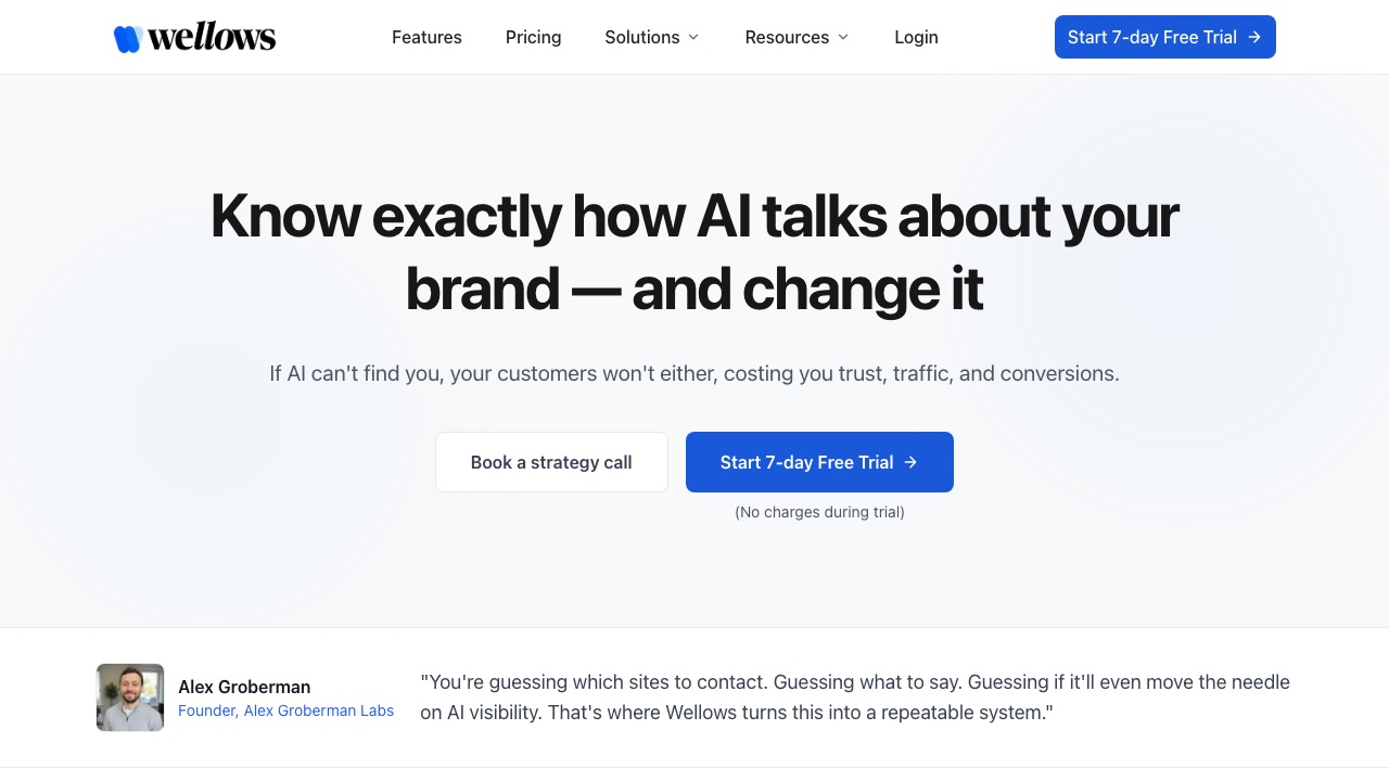 Capture de la page d'accueil de Wellows